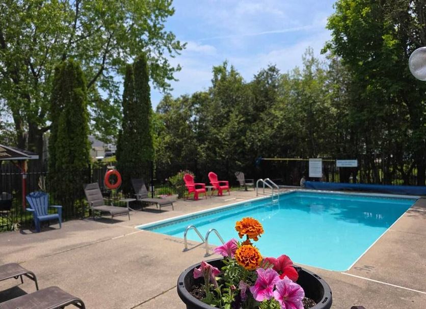 Pool Photo