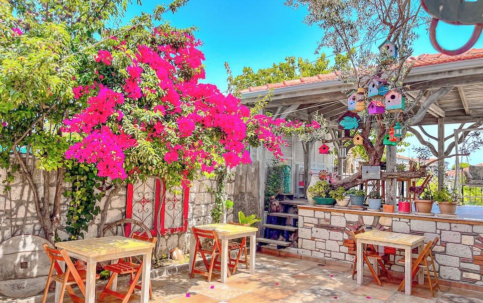 Patio Photo