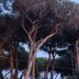 Outdoors view