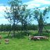 Outdoors view