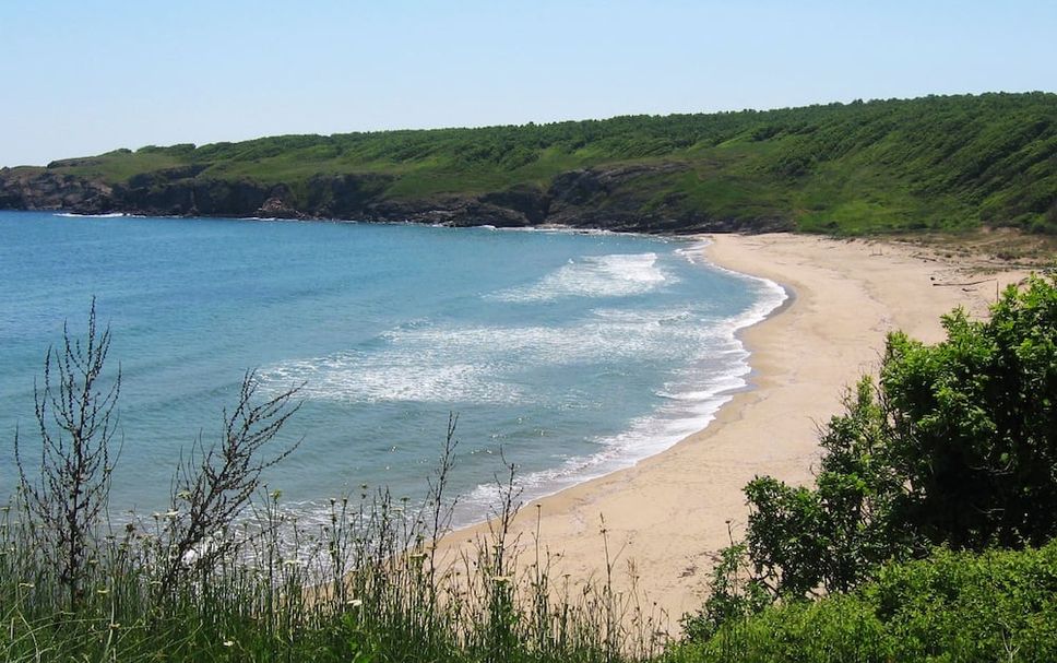 Beach Photo