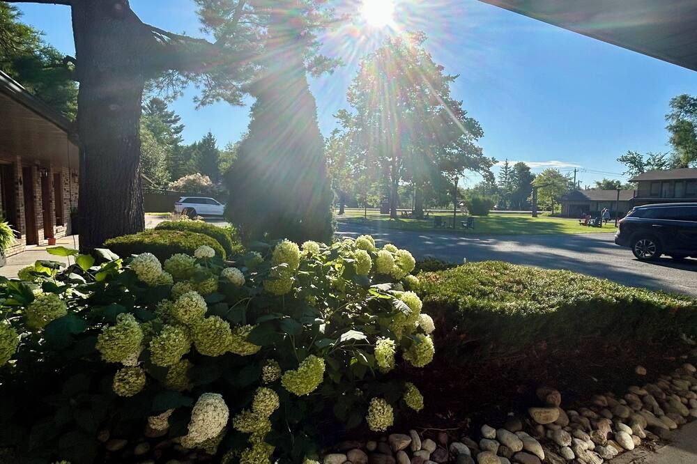 Outdoors view Photo