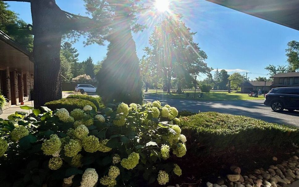 Outdoors view Photo