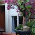 Outdoors view