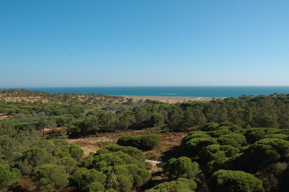 Outdoors view