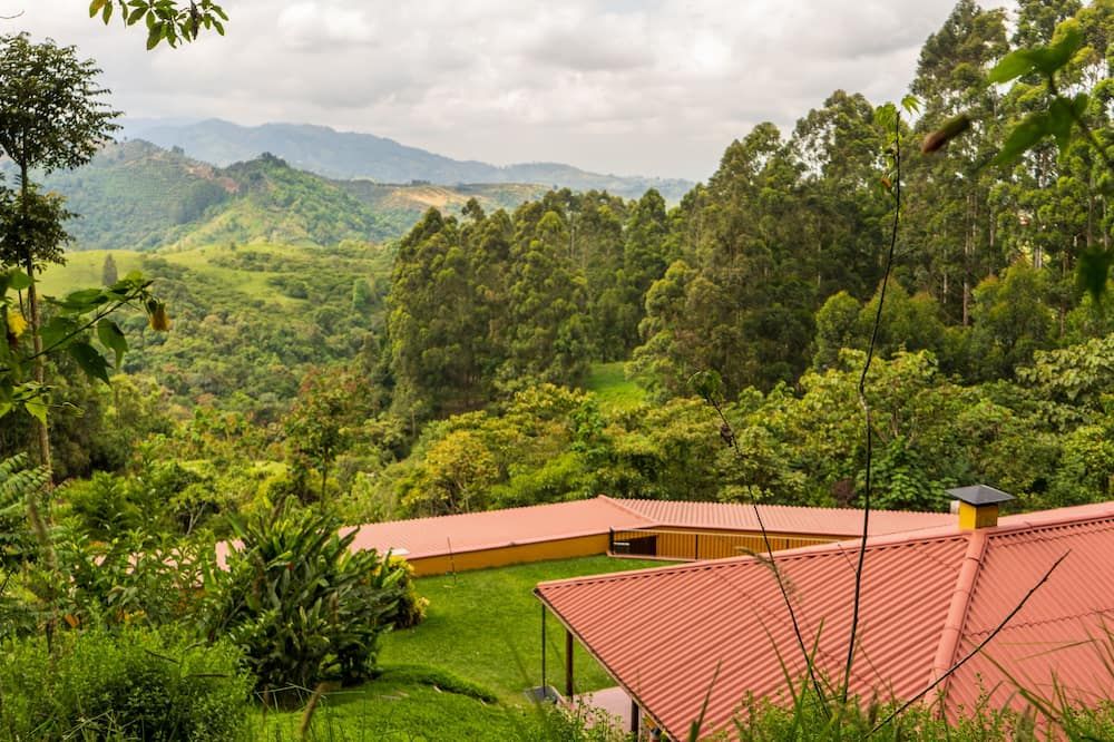Outdoors view