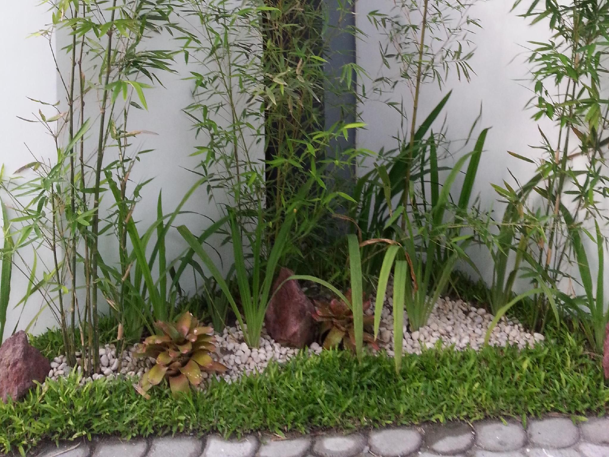 Outdoors view