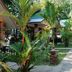 Outdoors view
