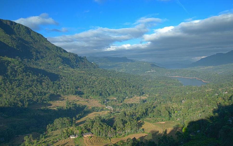 Other Photo