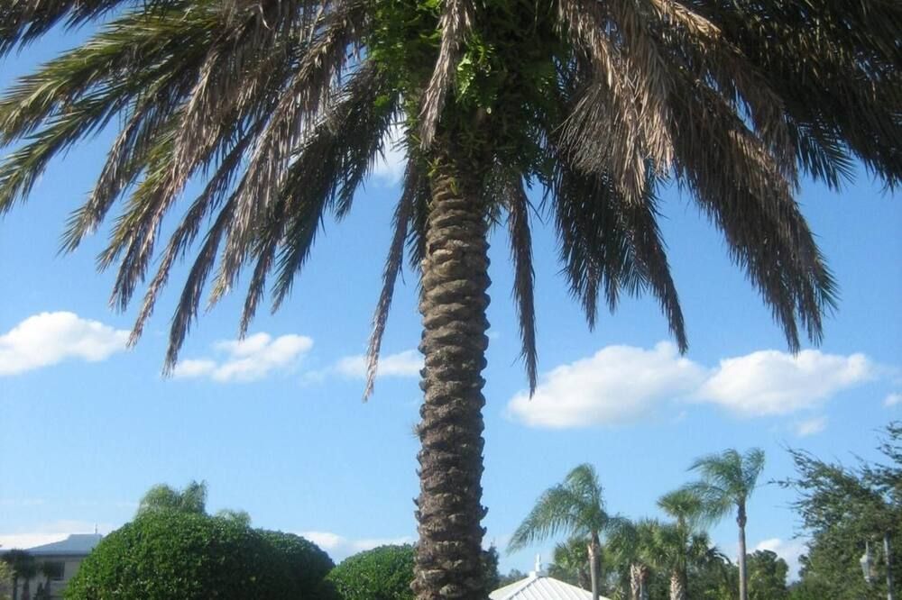 Outdoors view
