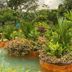 Outdoors view