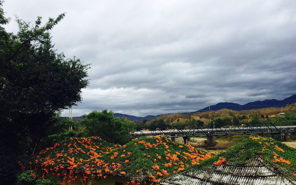 Outdoors view Photo