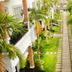 Outdoors view