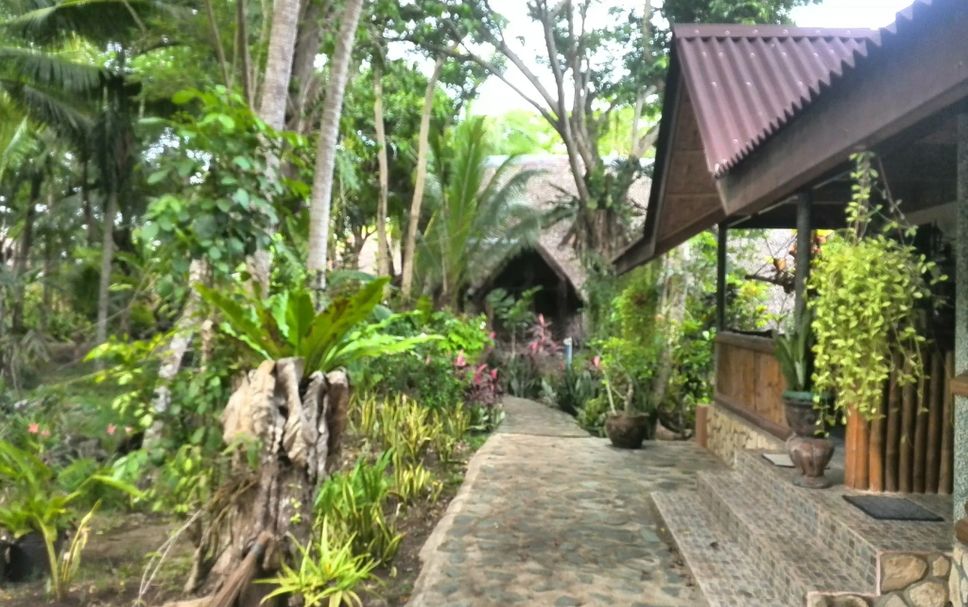 Outdoors view Photo