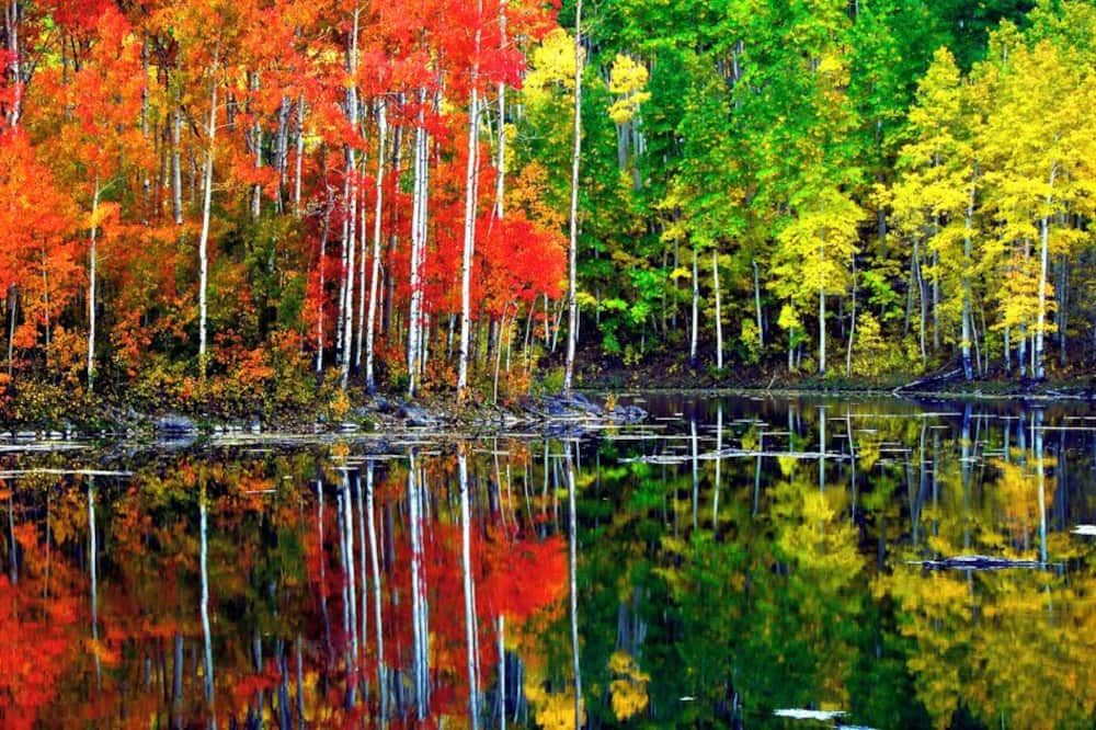 Outdoors view