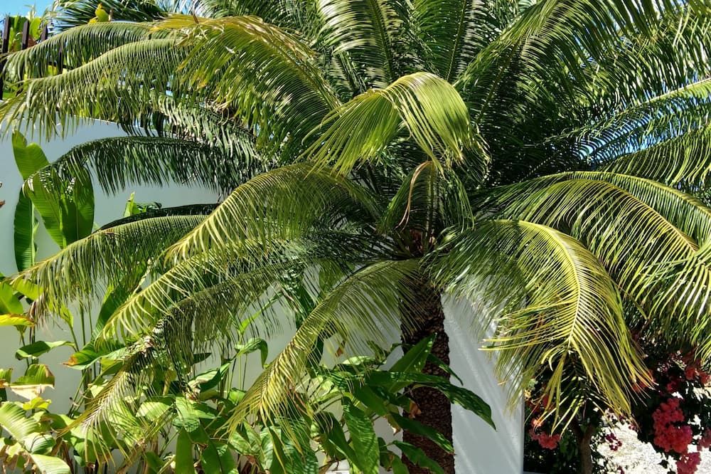 Outdoors view