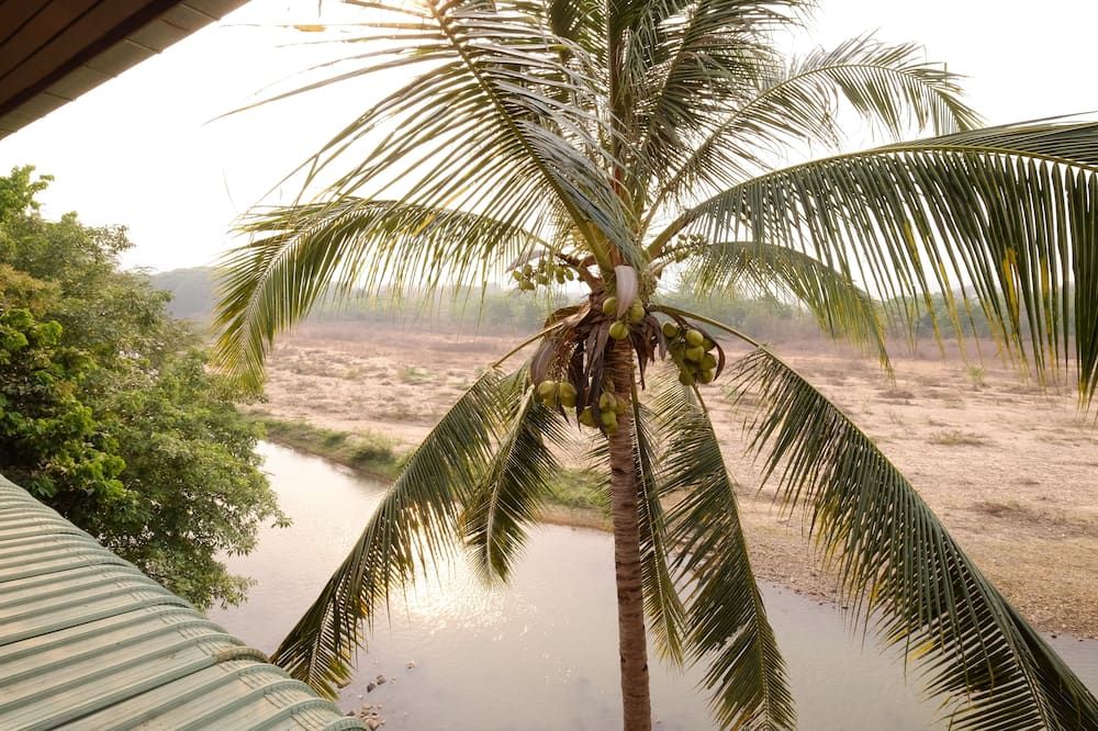Outdoors view