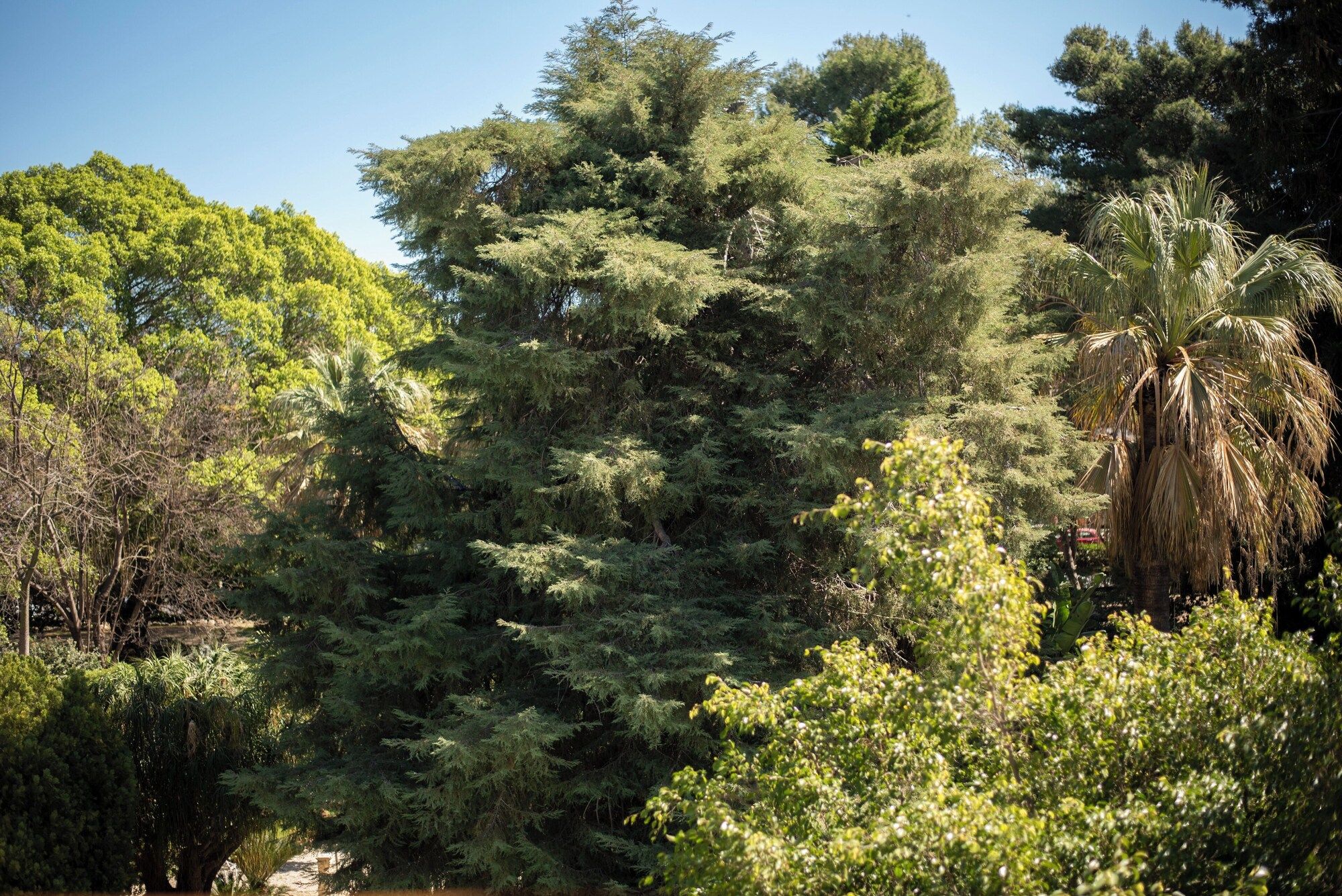 Outdoors view