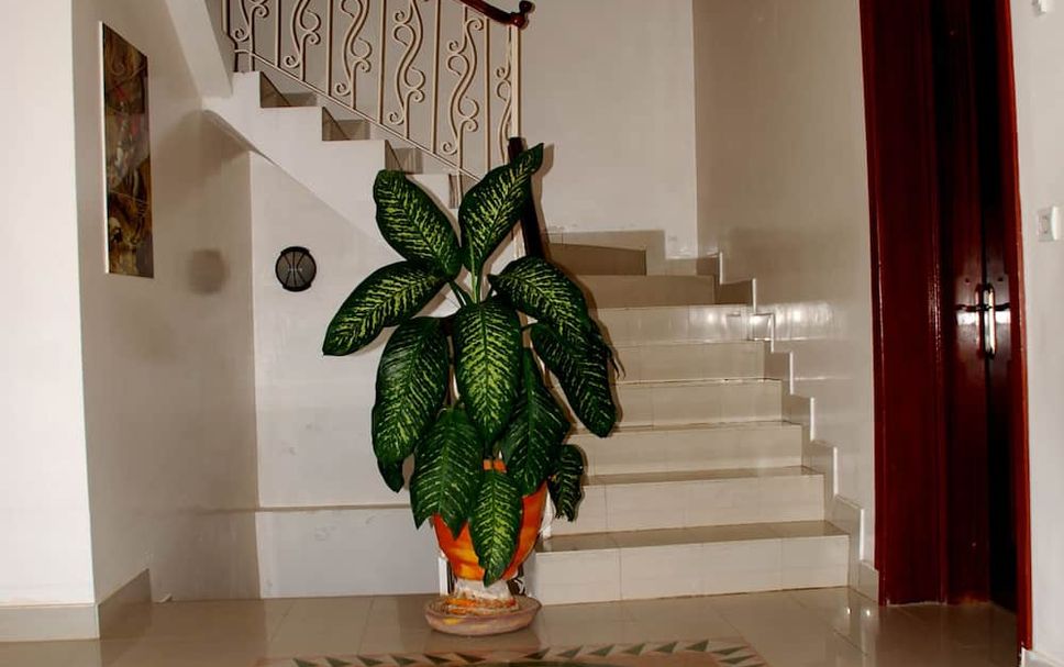 Stairs Photo