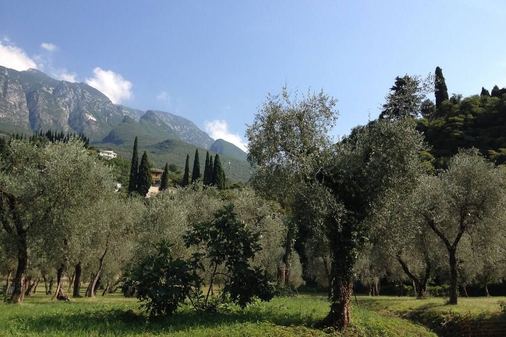 Outdoors view