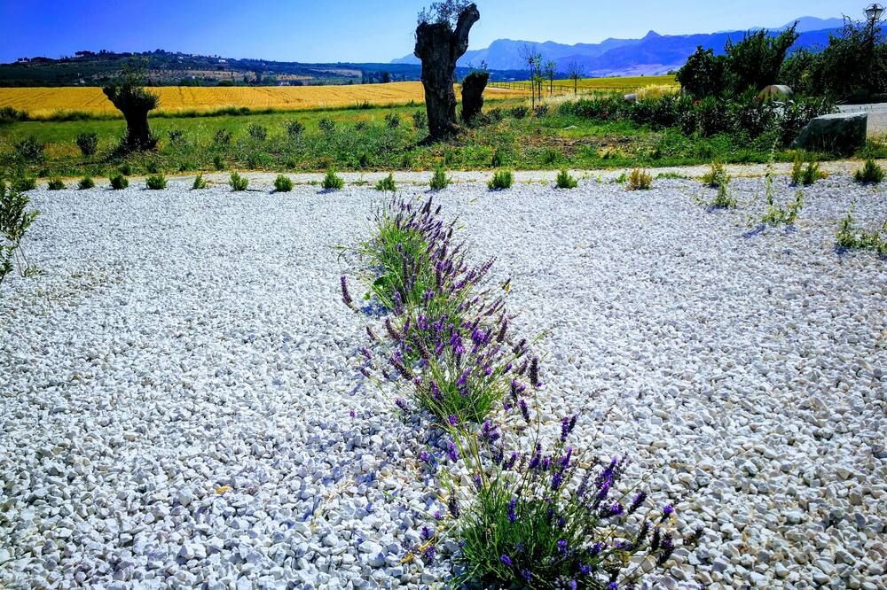 Outdoors view