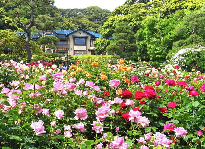 Outdoors view Photo