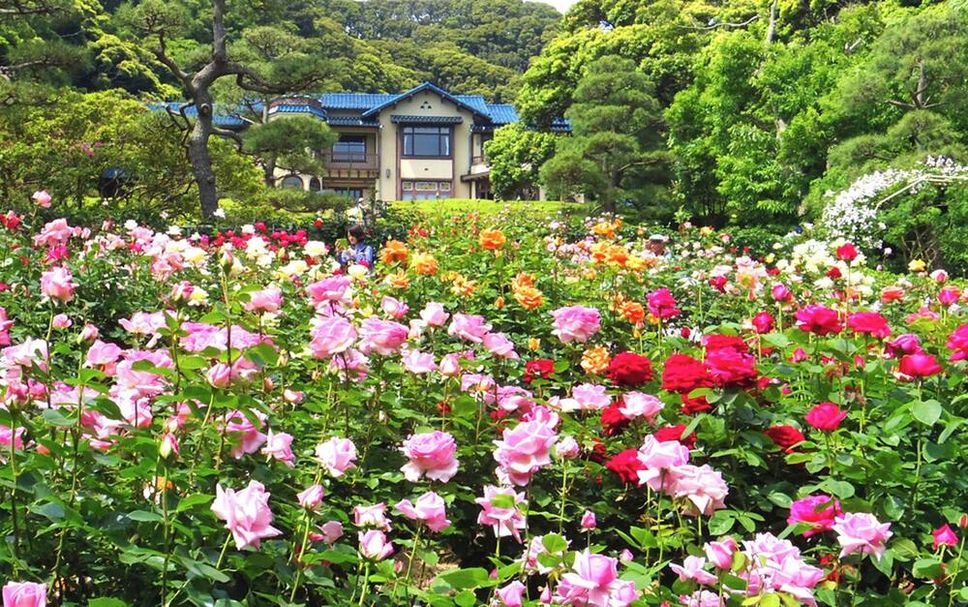 Outdoors view Photo