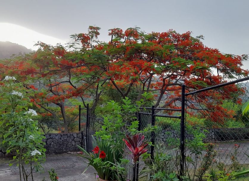 Outdoors view Photo