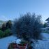 Outdoors view
