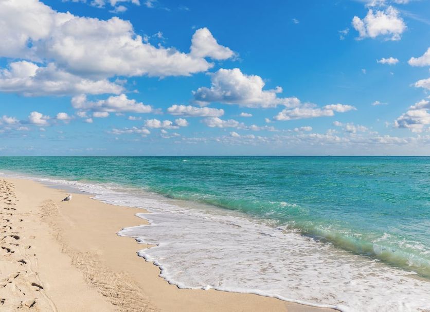 Beach Photo