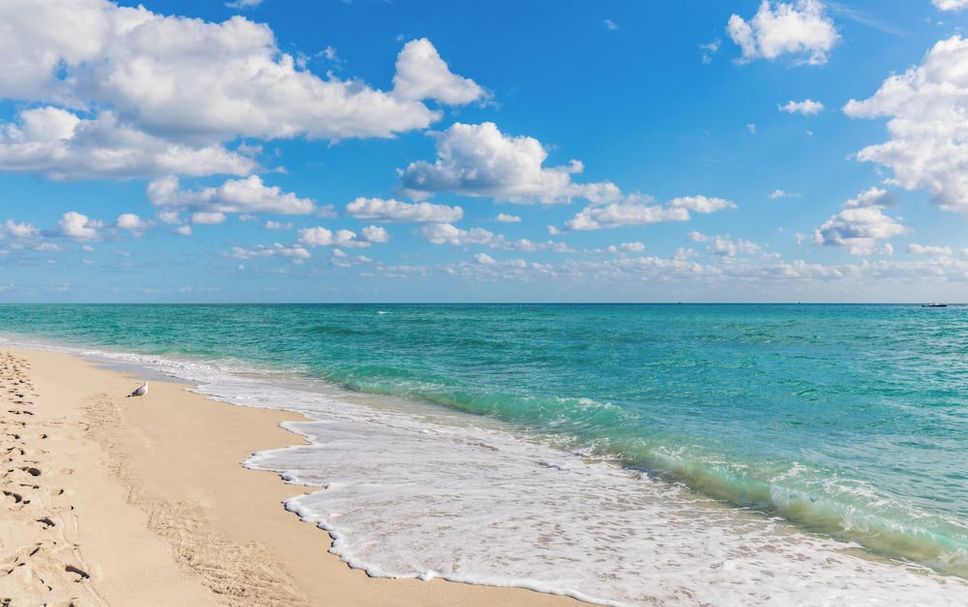 Beach Photo
