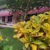 Outdoors view