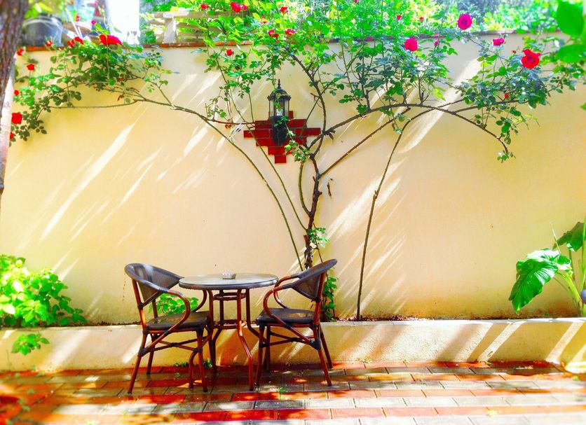 Patio Photo