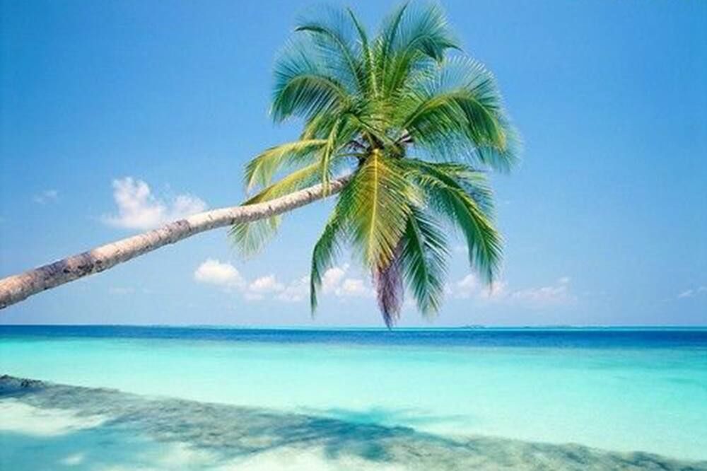Beach Photo