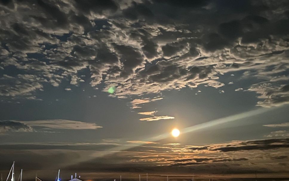 Other Photo