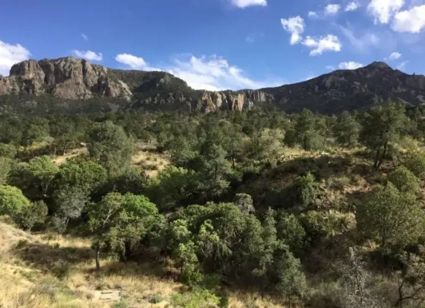 Outdoors view Photo