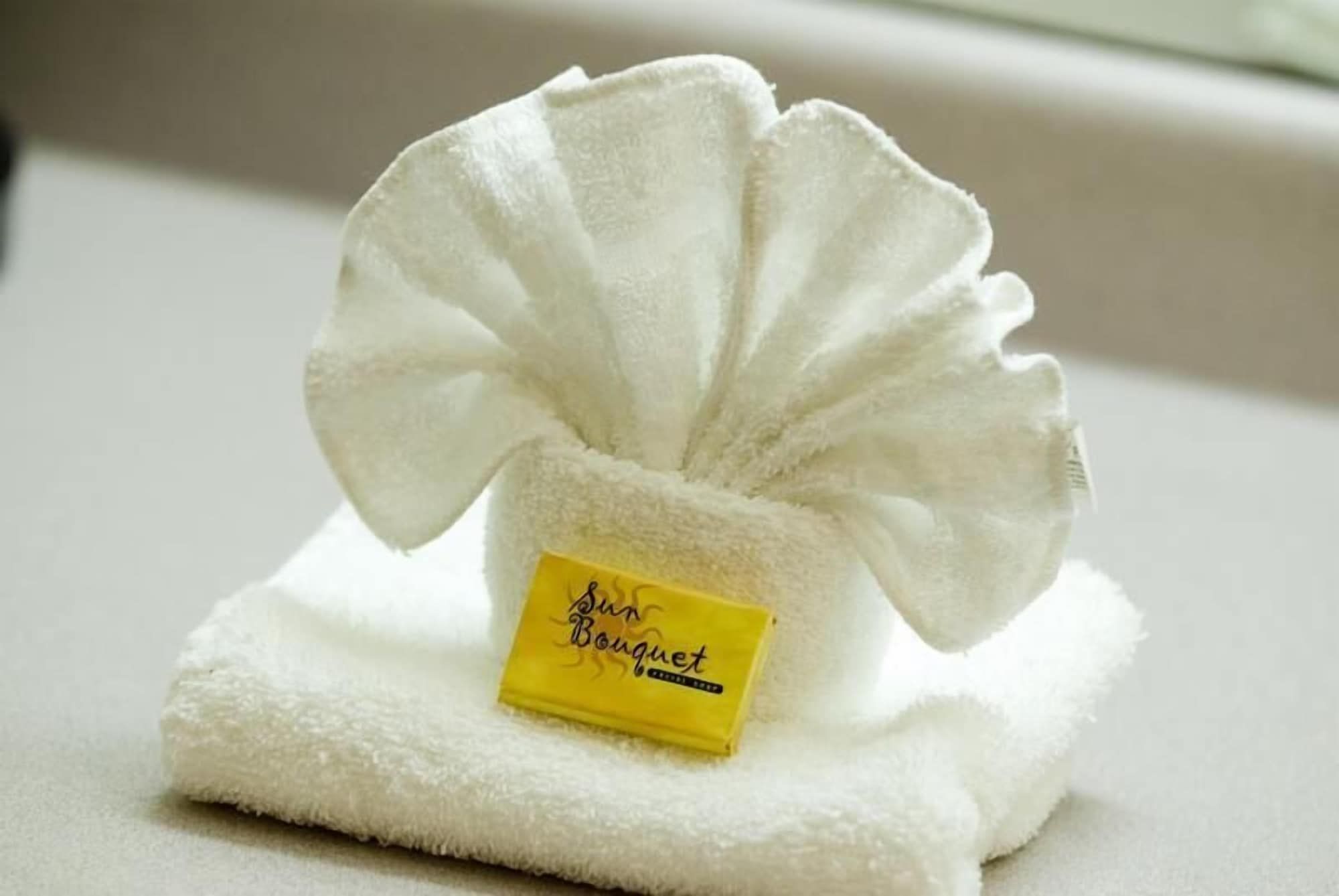 Room amenity