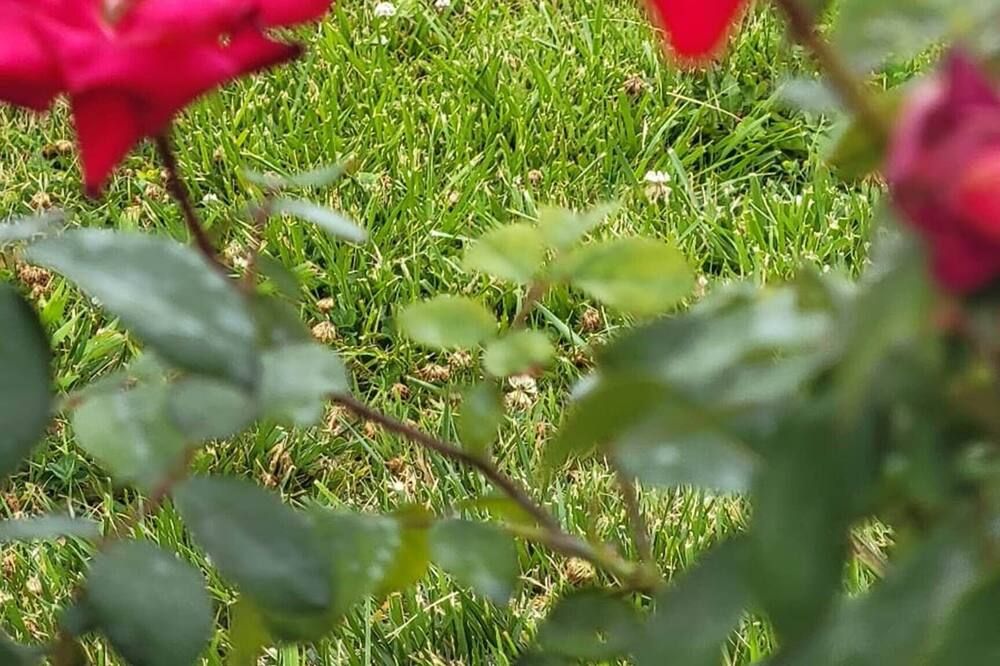Outdoors view