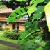 Outdoors view