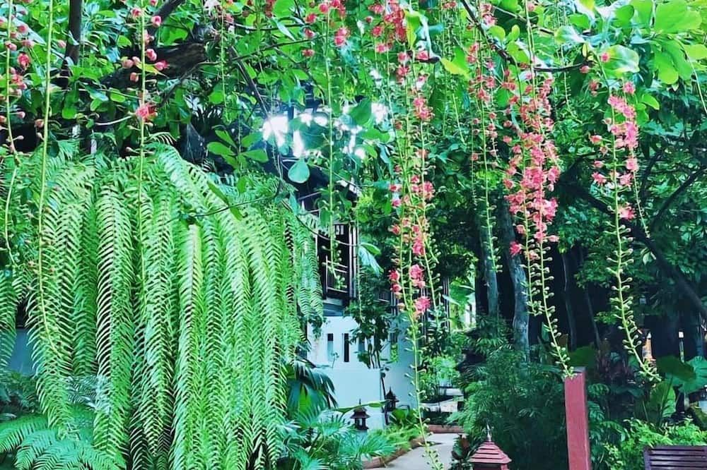 Outdoors view