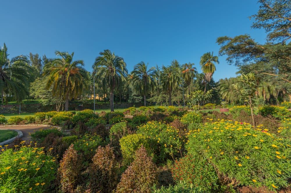 Outdoors view