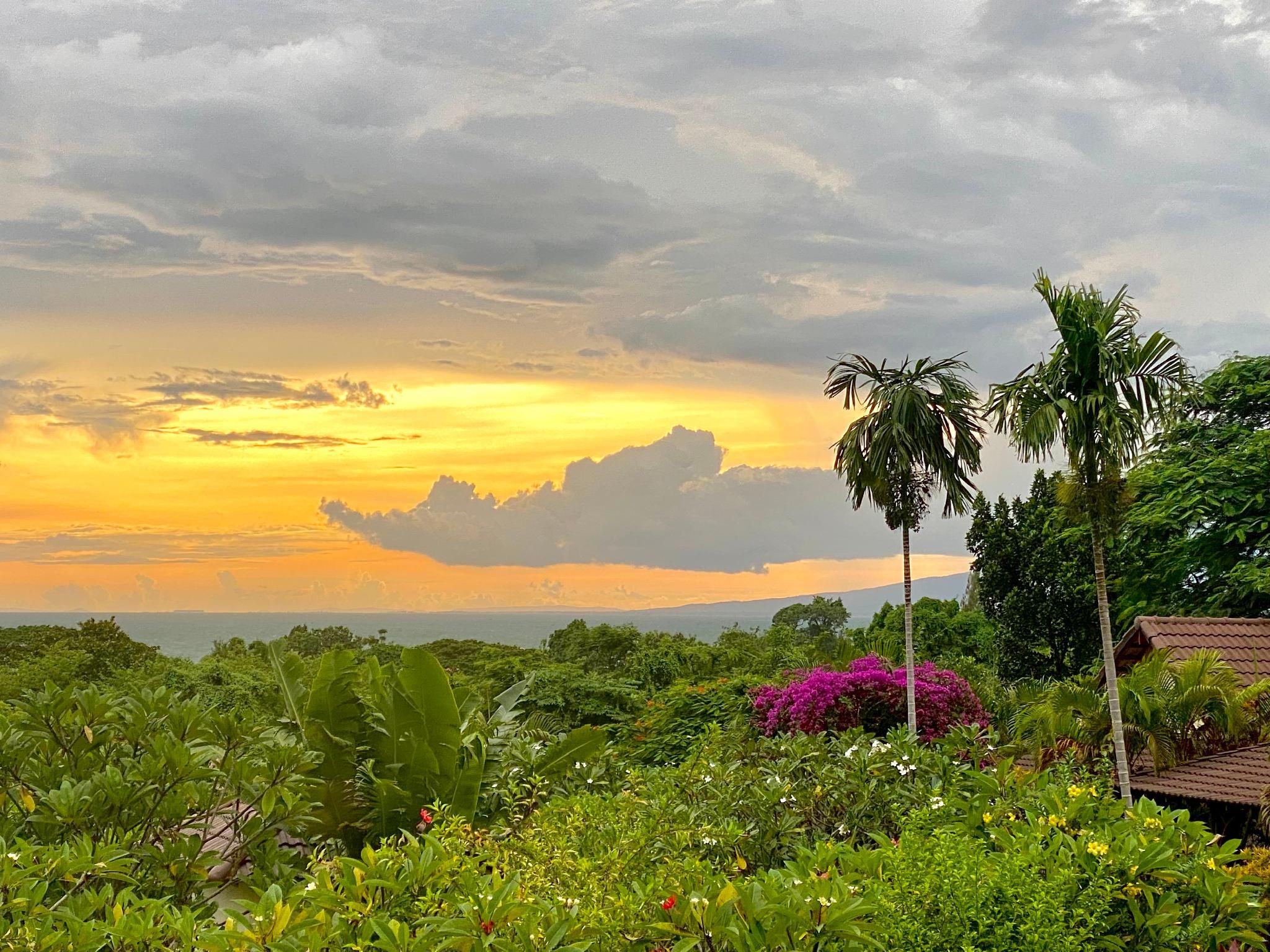 Outdoors view