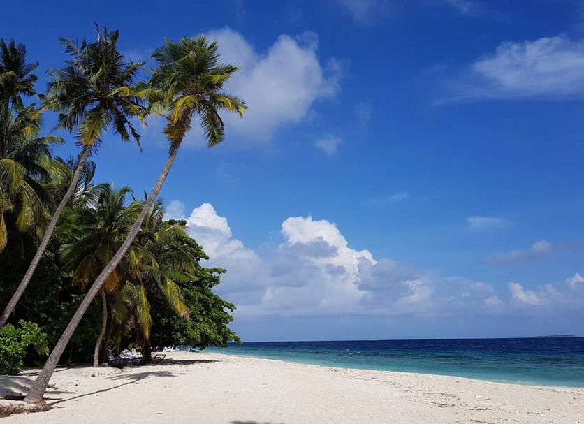 Beach Photo
