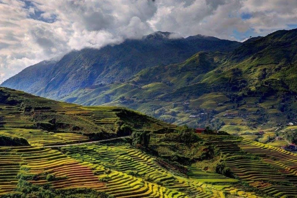 Outdoors view