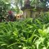 Outdoors view