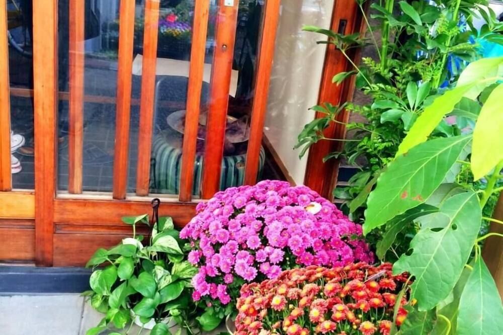 Outdoors view