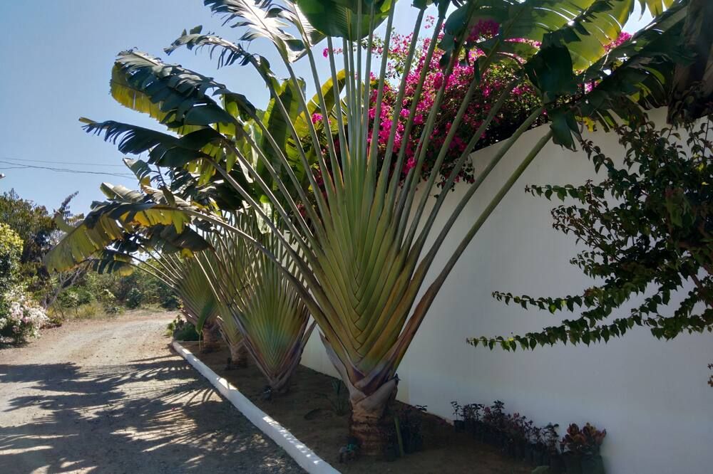 Outdoors view