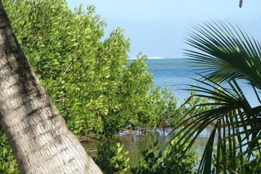 Outdoors view