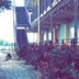 Outdoors view