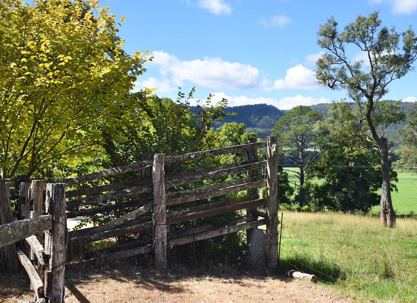 Outdoors view Photo